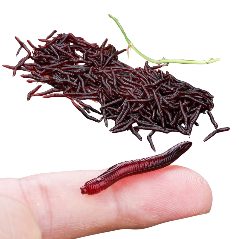 Iscas de Pesca Sougayilang Minhoca Realista 50 - 200 Unidades