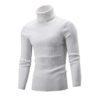Suéter Masculino Pullover de Gola Alta Casavelli S177