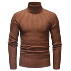 Suéter Masculino Pullover de Gola Alta Casavelli S177