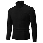 Suéter Masculino Pullover de Gola Alta Casavelli S177