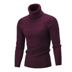 Suéter Masculino Pullover de Gola Alta Casavelli S177